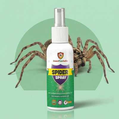 Spider Repellent Spray for Home & Office | Herbal Natural Formula | Indoor & Outdoor Use | Insect Free India