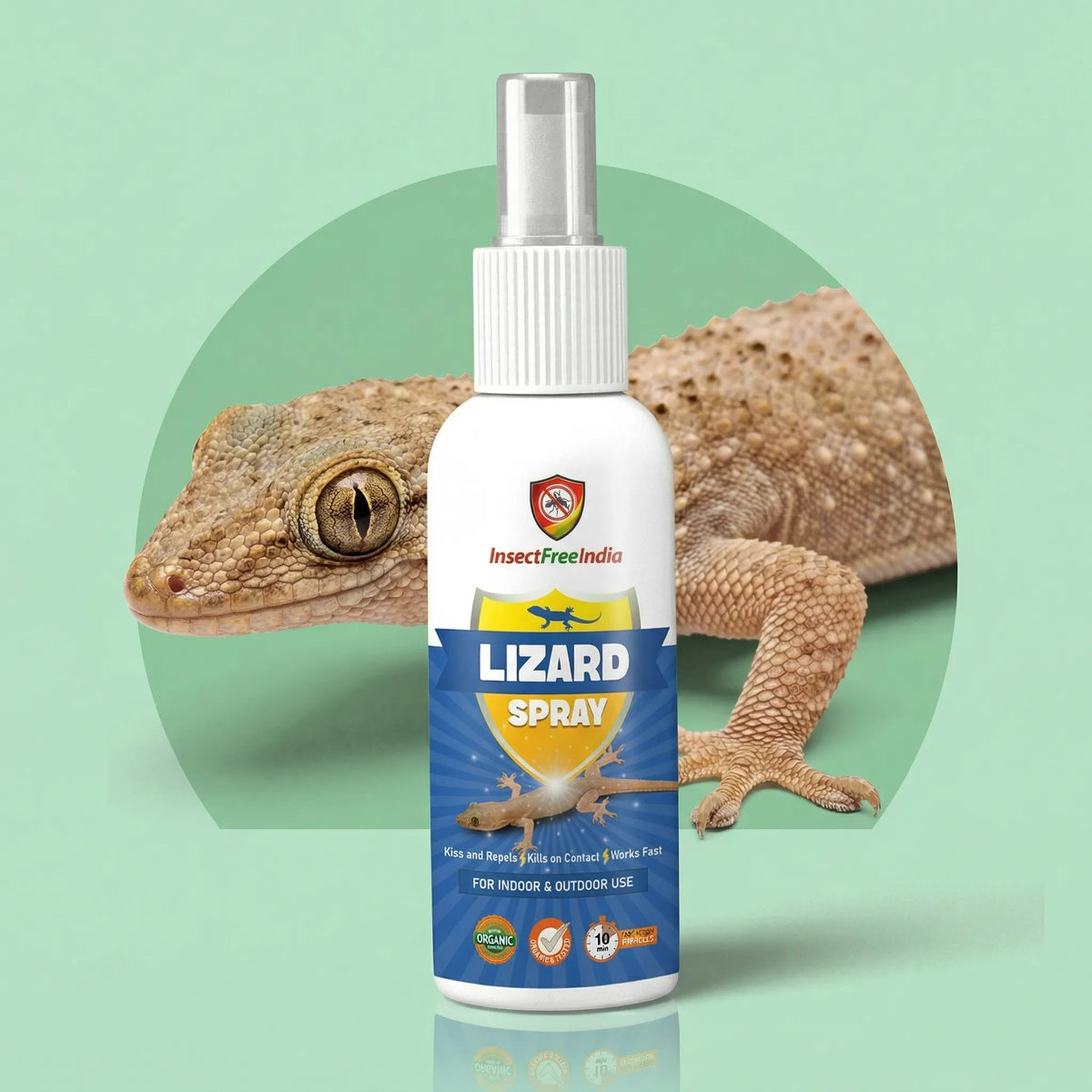 Safety Lizard Natural Lizard Repellent Spray for Home – Safe & Effective – Insect ...