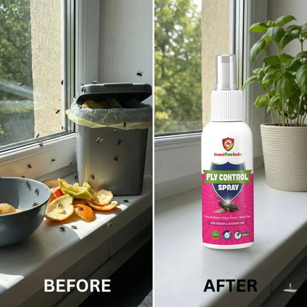 Fast-Acting Fly Control Concentrate – Powerful Insect Killer for Indoor & Outdoor Use