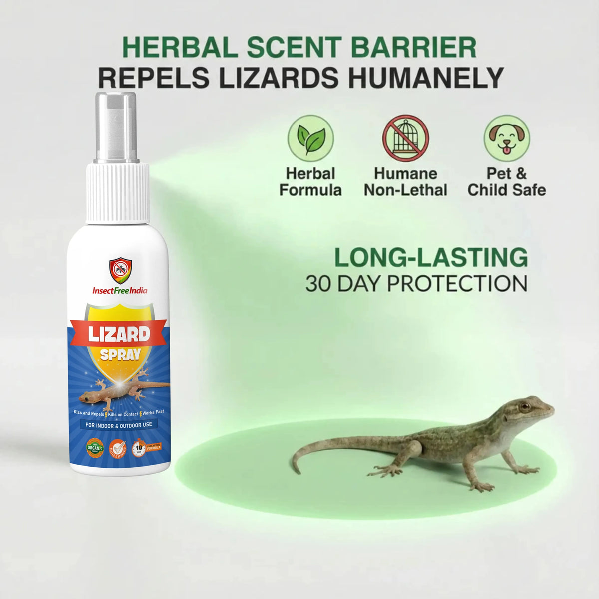 Safety Lizard Natural Lizard Repellent Spray for Home – Safe & Effective – Insect ...