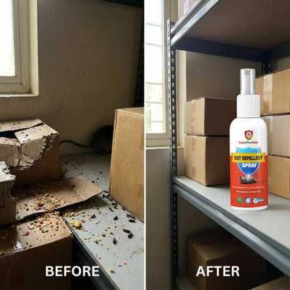 Rat Repellent Spray for Home & Storage | Herbal Rodent Control | Non-Toxic & Safe | Insect Free India