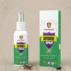 Spider Spray – Fast & Effective Control for Indoor and Outdoor Spaces
