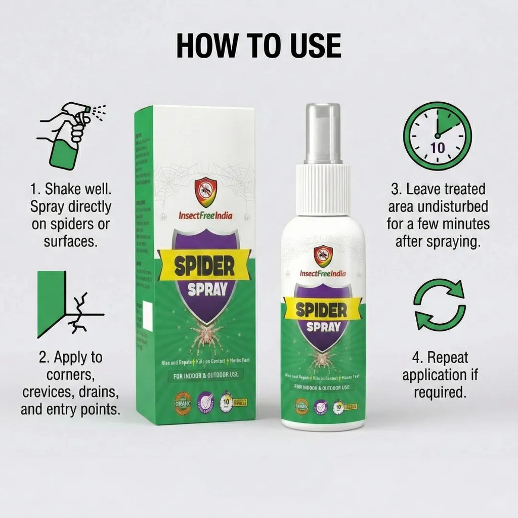 Spider Spray – Fast & Effective Control for Indoor and Outdoor Spaces