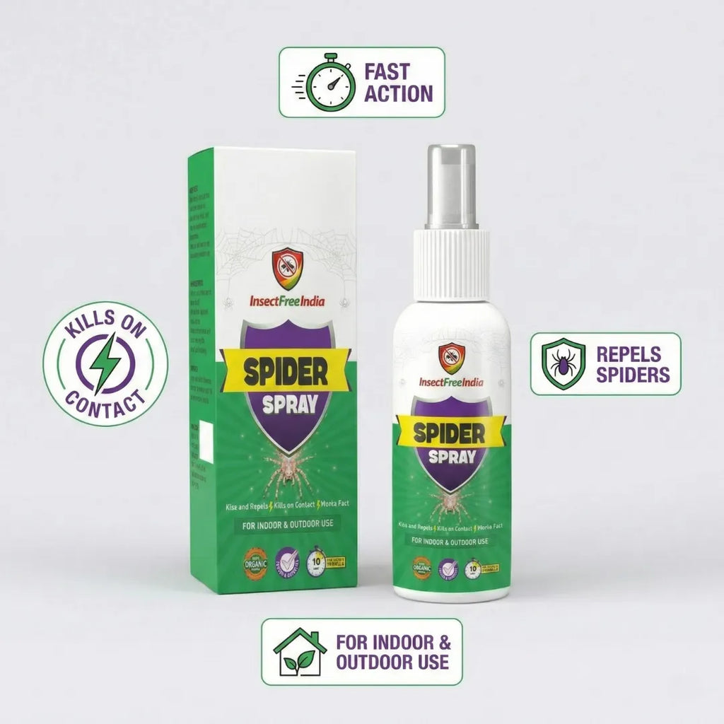 Spider Spray – Fast & Effective Control for Indoor and Outdoor Spaces