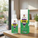 Spider Spray – Fast & Effective Control for Indoor and Outdoor Spaces