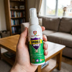 Spider Spray – Fast & Effective Control for Indoor and Outdoor Spaces