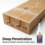 Termite Killer Spray | Powerful Anti-Termite Protection for Home & Furniture